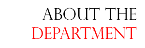 About the Department